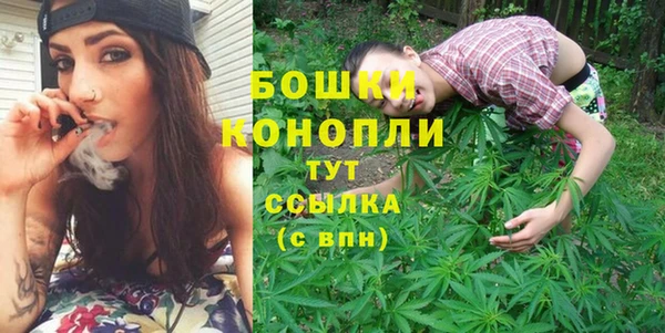 амф Вязьма