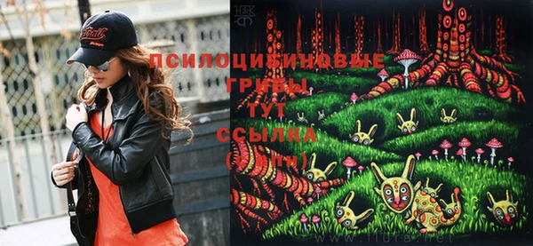 амф Вязьма