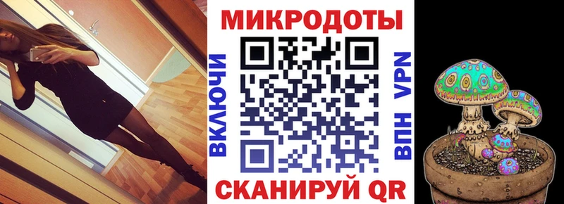 hydra tor  Павловская  Псилоцибиновые грибы мицелий 